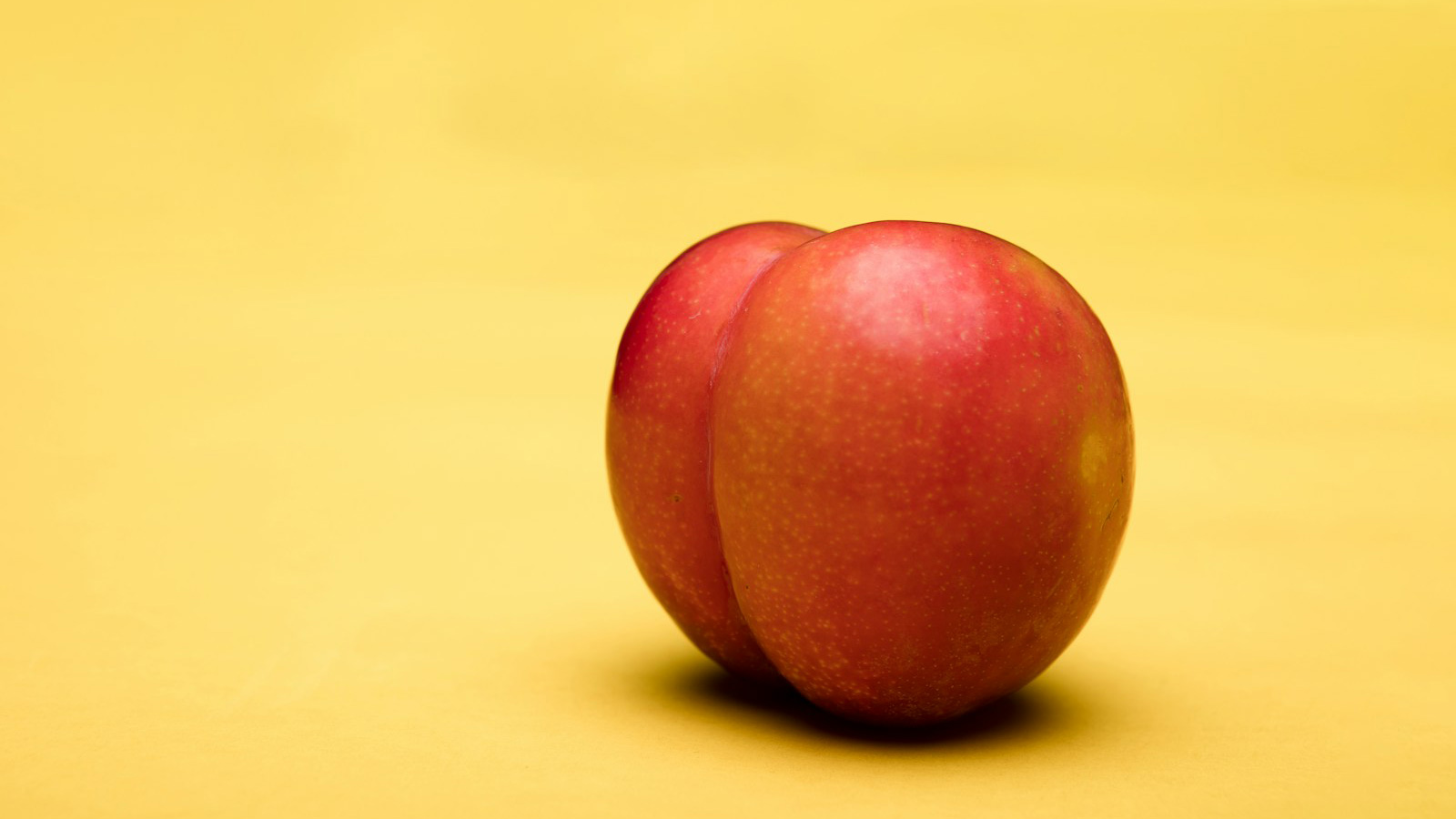 Assorted impact play tools — paddles, floggers, canes and a whip on a soft background